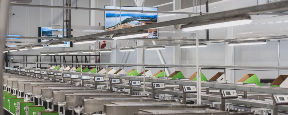 Export Enablement & Market Access